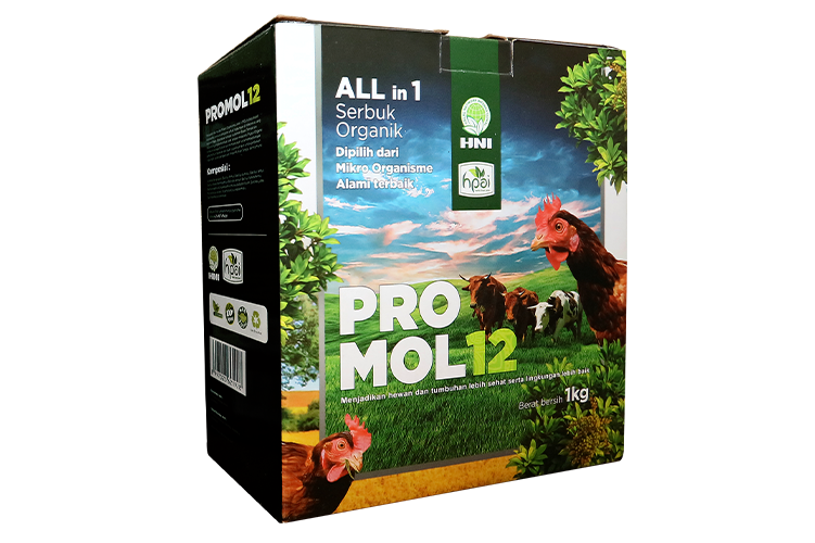 Promol 12 Pack 1kg